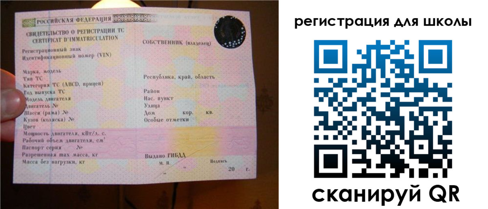 найти адрес прописки в Светлогорске
