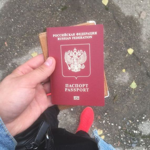 прописка в Светлогорске